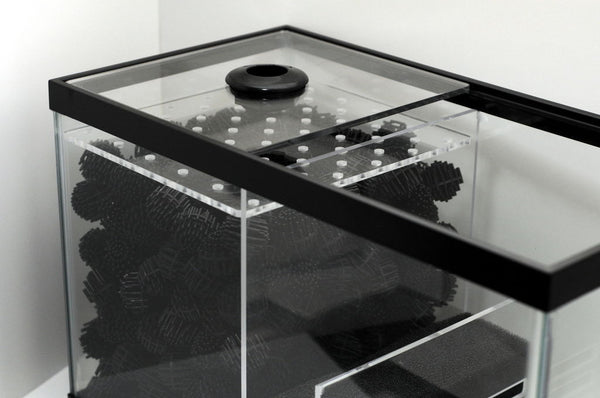 Wet dry aquarium sales filter